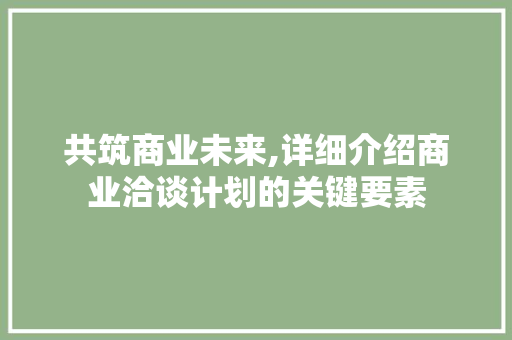 共筑商业未来,详细介绍商业洽谈计划的关键要素