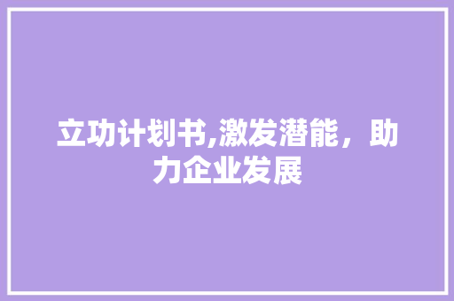 立功计划书,激发潜能，助力企业发展