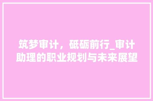 筑梦审计，砥砺前行_审计助理的职业规划与未来展望