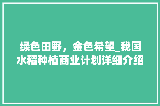 绿色田野，金色希望_我国水稻种植商业计划详细介绍