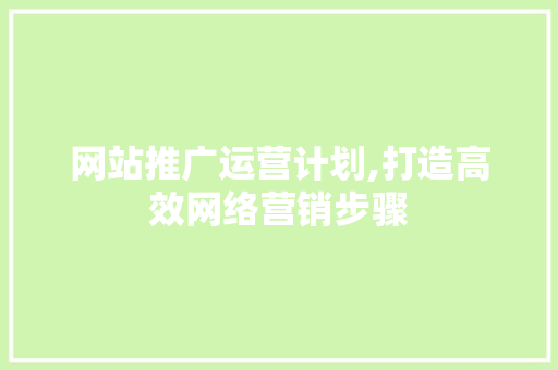 网站推广运营计划,打造高效网络营销步骤
