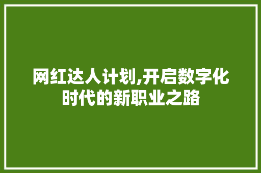 网红达人计划,开启数字化时代的新职业之路