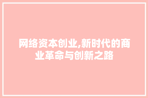网络资本创业,新时代的商业革命与创新之路