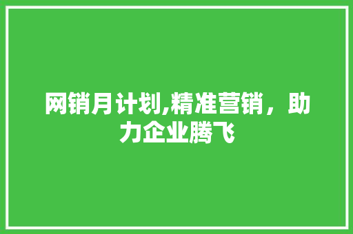 网销月计划,精准营销，助力企业腾飞