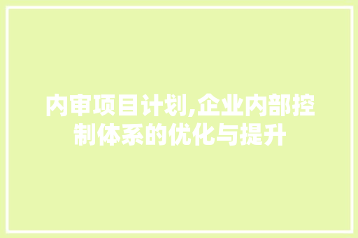 内审项目计划,企业内部控制体系的优化与提升
