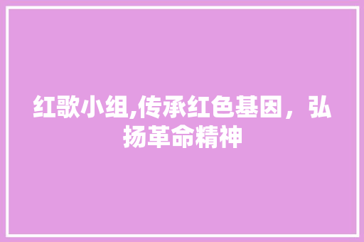 红歌小组,传承红色基因，弘扬革命精神