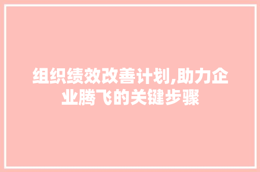 组织绩效改善计划,助力企业腾飞的关键步骤