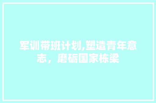 军训带班计划,塑造青年意志，磨砺国家栋梁