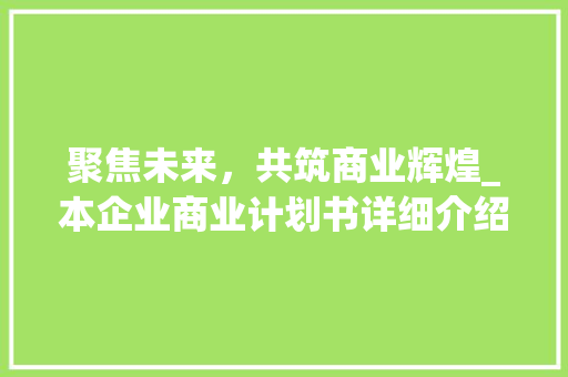 聚焦未来，共筑商业辉煌_本企业商业计划书详细介绍