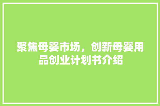 聚焦母婴市场，创新母婴用品创业计划书介绍