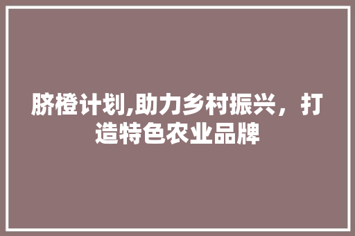 脐橙计划,助力乡村振兴，打造特色农业品牌