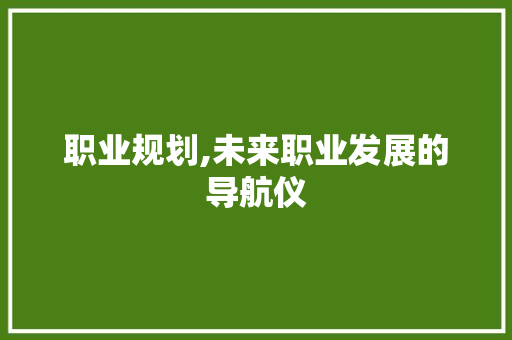 职业规划,未来职业发展的导航仪