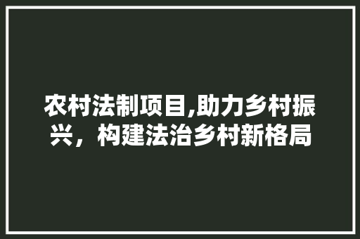 农村法制项目,助力乡村振兴，构建法治乡村新格局