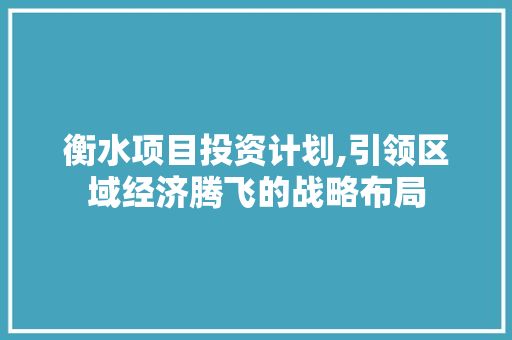 衡水项目投资计划,引领区域经济腾飞的战略布局