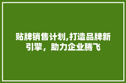 贴牌销售计划,打造品牌新引擎，助力企业腾飞