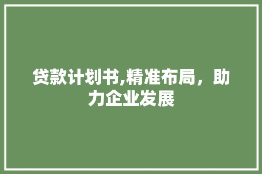 贷款计划书,精准布局，助力企业发展