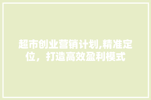 超市创业营销计划,精准定位，打造高效盈利模式