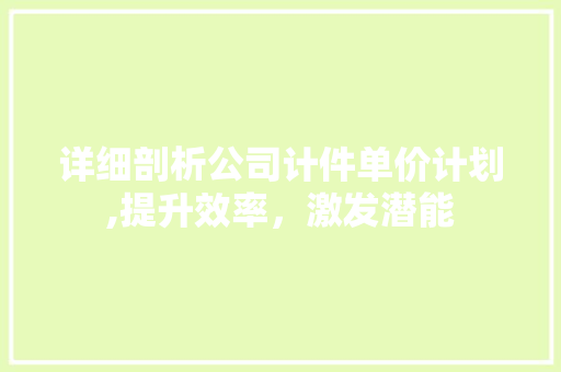 详细剖析公司计件单价计划,提升效率，激发潜能