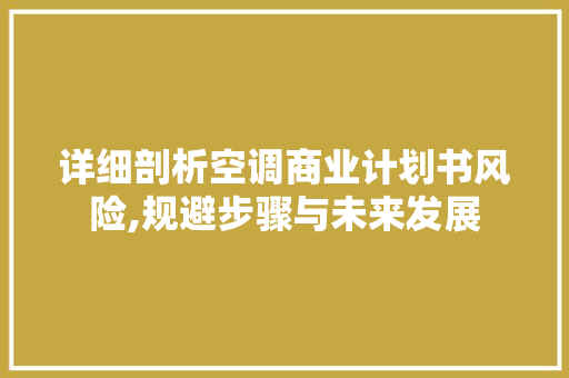 详细剖析空调商业计划书风险,规避步骤与未来发展