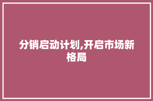 分销启动计划,开启市场新格局