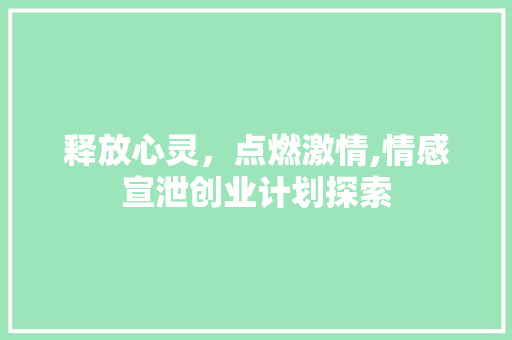 释放心灵，点燃激情,情感宣泄创业计划探索
