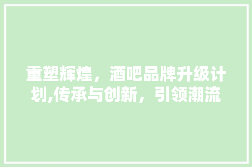 重塑辉煌，酒吧品牌升级计划,传承与创新，引领潮流