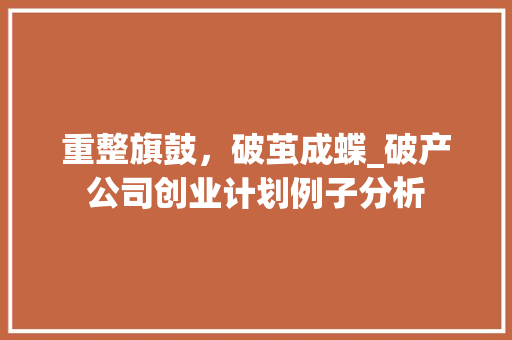 重整旗鼓，破茧成蝶_破产公司创业计划例子分析