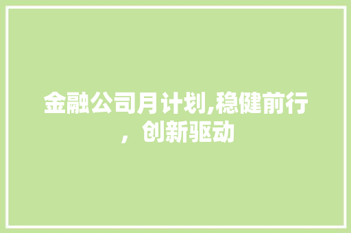 金融公司月计划,稳健前行，创新驱动