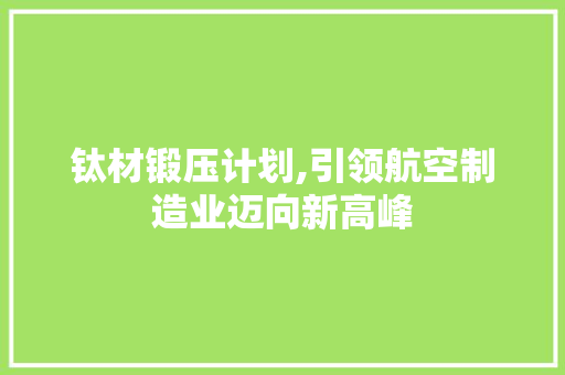 钛材锻压计划,引领航空制造业迈向新高峰 成语大全