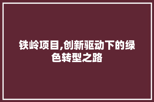 铁岭项目,创新驱动下的绿色转型之路