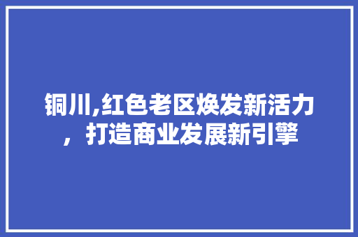 铜川,红色老区焕发新活力，打造商业发展新引擎