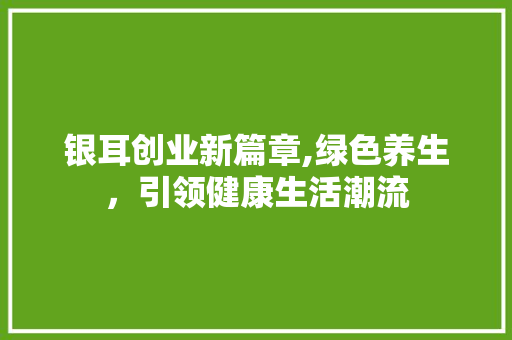 银耳创业新篇章,绿色养生，引领健康生活潮流