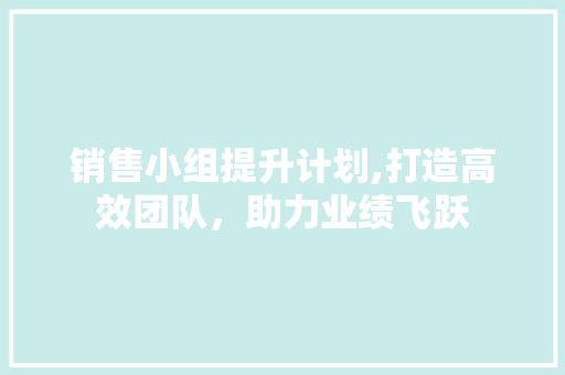 销售小组提升计划,打造高效团队，助力业绩飞跃