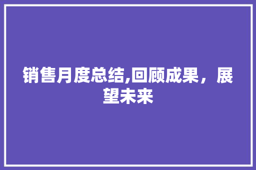 销售月度总结,回顾成果，展望未来