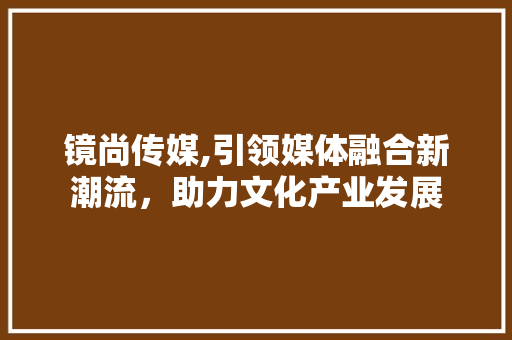 镜尚传媒,引领媒体融合新潮流，助力文化产业发展
