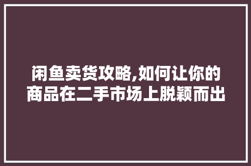 闲鱼卖货攻略,如何让你的商品在二手市场上脱颖而出