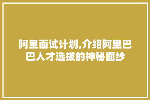 阿里面试计划,介绍阿里巴巴人才选拔的神秘面纱
