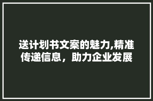 送计划书文案的魅力,精准传递信息，助力企业发展