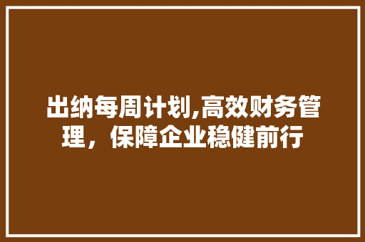 出纳每周计划,高效财务管理，保障企业稳健前行