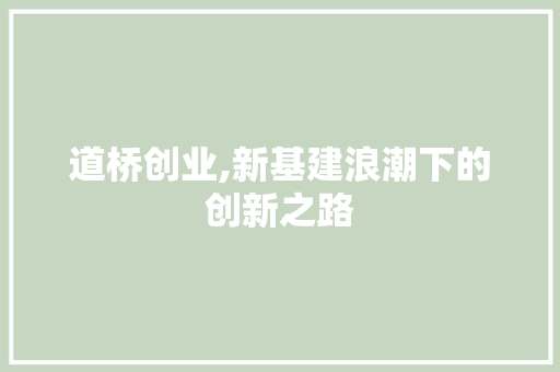 道桥创业,新基建浪潮下的创新之路