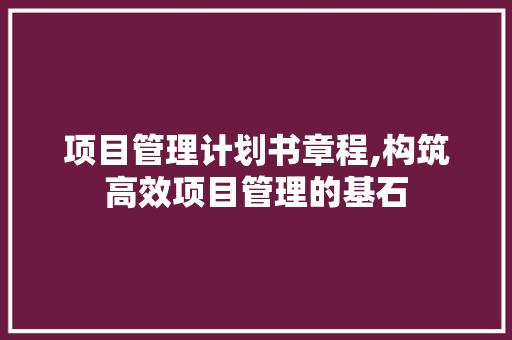 项目管理计划书章程,构筑高效项目管理的基石 合同范本