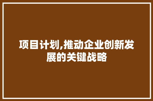 项目计划,推动企业创新发展的关键战略
