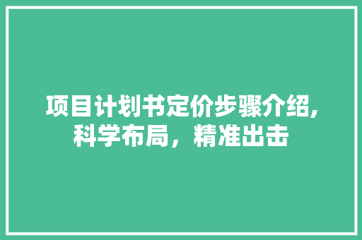 项目计划书定价步骤介绍,科学布局，精准出击