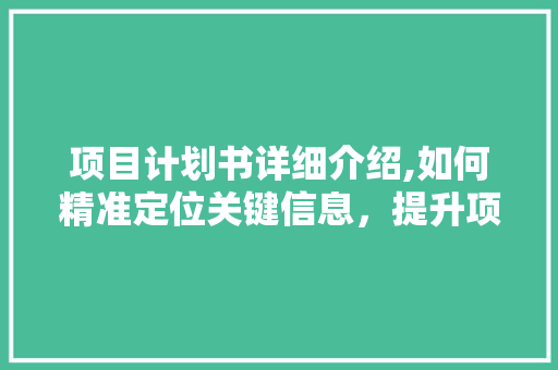 项目计划书详细介绍,如何精准定位关键信息，提升项目执行力