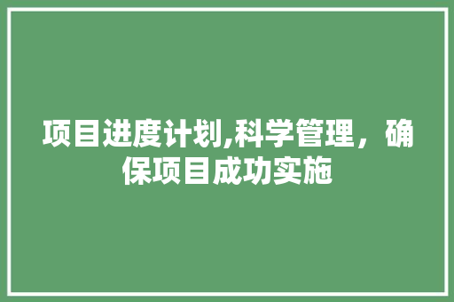 项目进度计划,科学管理，确保项目成功实施