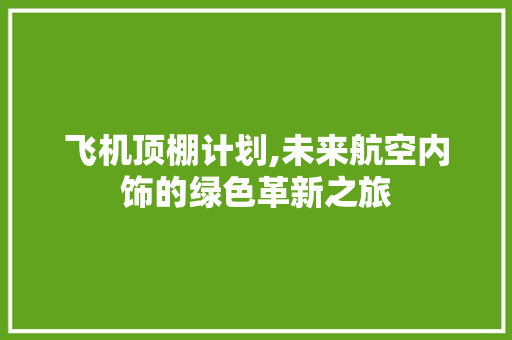 飞机顶棚计划,未来航空内饰的绿色革新之旅 工作总结