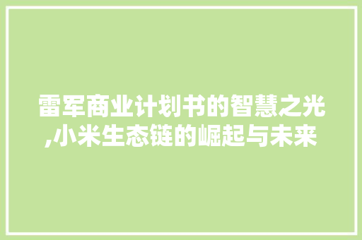 雷军商业计划书的智慧之光,小米生态链的崛起与未来