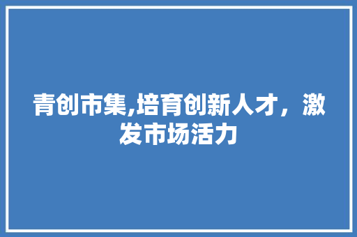 青创市集,培育创新人才，激发市场活力