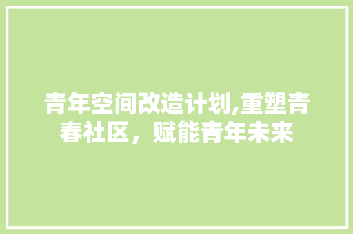 青年空间改造计划,重塑青春社区，赋能青年未来