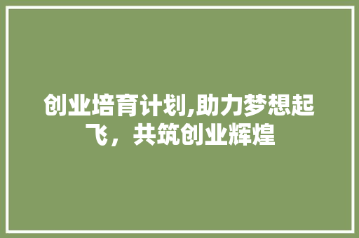 创业培育计划,助力梦想起飞，共筑创业辉煌